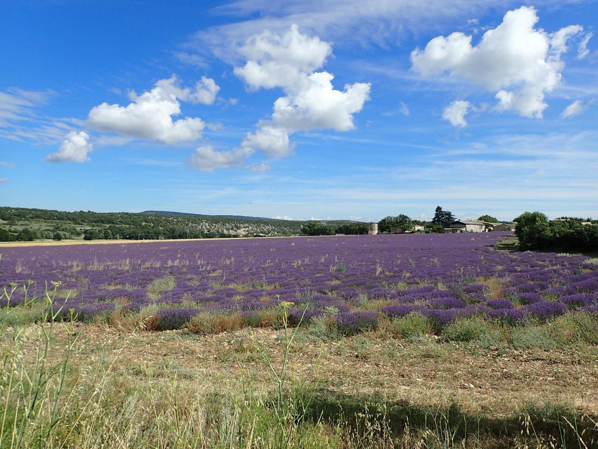 Gite De L'Aspa Saint-Christol  Luaran gambar